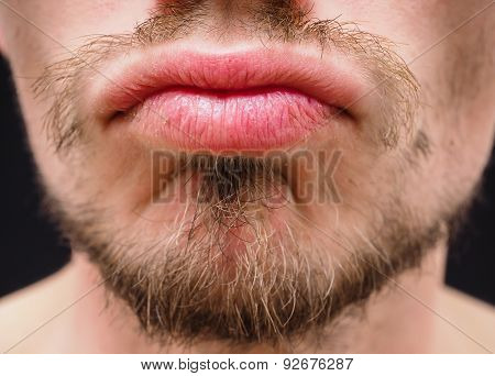 Hot Male Lips With Untrimmed Beard At Closeup