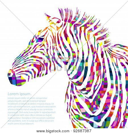 Animal watercolor illustration silhouette zebra. Vector