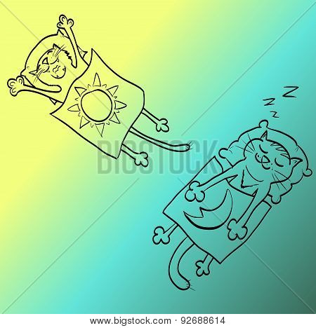 cat sleep