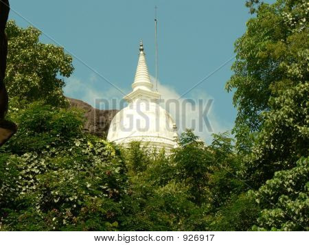 ฉากพระอุโบสถผ่านป่า