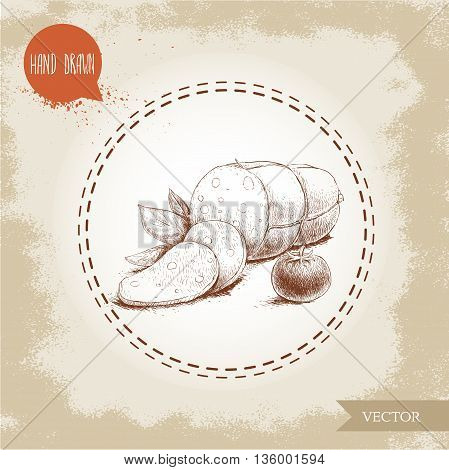 Hand drawn sketch type sliced Mortadella with basil leafs and tomato. Organic food vintage illustration.