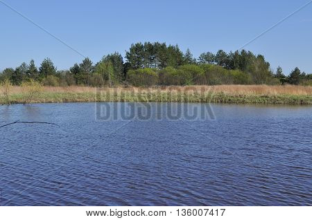 River landscape. Spring in the national Park 