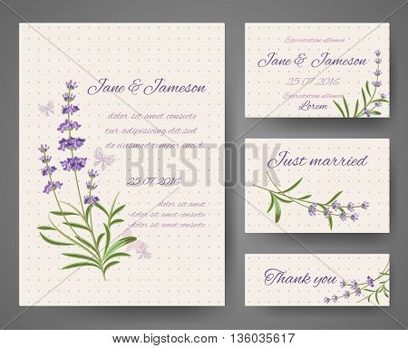 Vector templates for celebration and wedding with lavender bunches