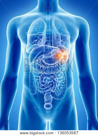3d rendered, medically accurate illustration of spleen cancer