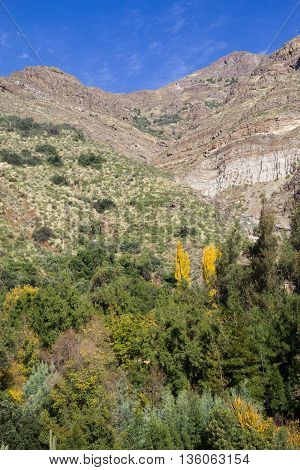 San Alfonso Valley, Trail In The  Mountain