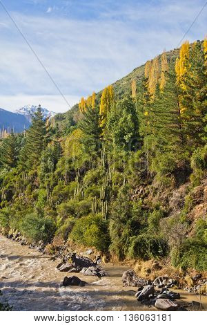 San Alfonso Valley, Trail In The  Mountain