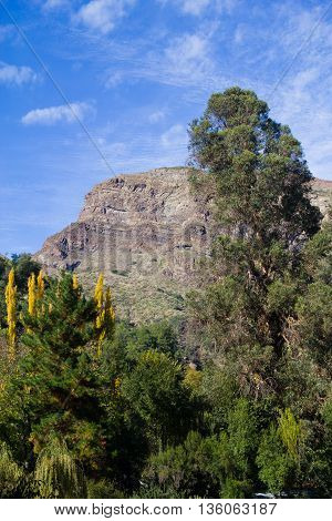 San Alfonso Valley, Trail In The  Mountain