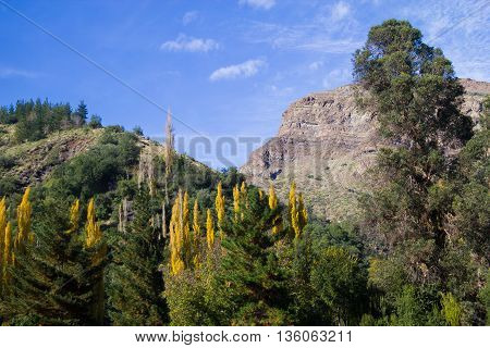 San Alfonso Valley, Trail In The  Mountain