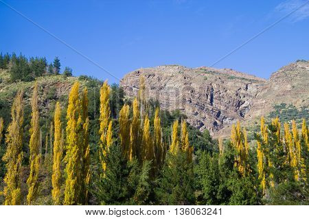 San Alfonso Valley, Trail In The  Mountain