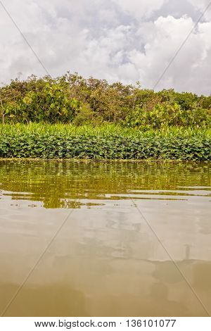 Amazon River In South America Largest River By Discharge Of Water In The World And The Second In Length