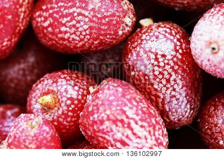 Goji berries frozen background close up macro phoro