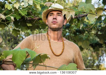 view of handsome young man in hat toching vine leaves in garden in sunlight