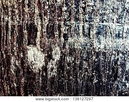 Background vintage vertical gray beautiful. Wood background.