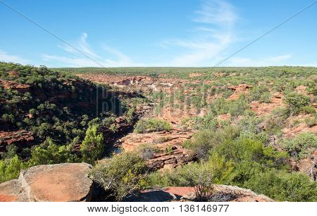 Elevated view of the scenic Murchison River Gorge with sandstone rock and native flora in the Z-bend landscape under a clear blue sky in Kalbarri National Park in Western Australia.