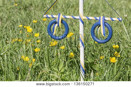 Ornament Maypole in Grass with buttercup flowers.