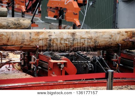 Band Saw Sawmill Cut Pine Log.