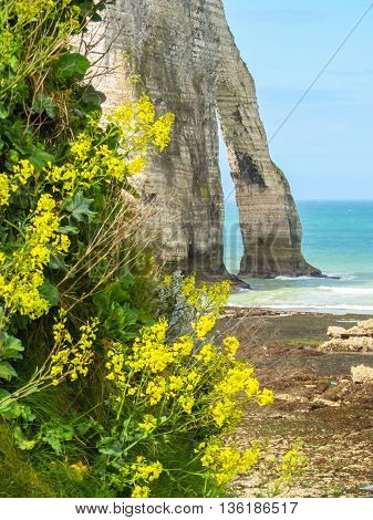 Cote d'Albatre or Alabaster Coast is part of the French coast of the English Channel. Famous cliff Porte d'Aval. Etretat, France
