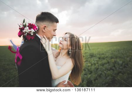 Beautiful wedding couple, love on the sunset. Fielf with flowers.