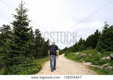 Walking on the Goetheweg at the foot of Brocken in the Harz National Park