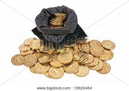 Money coins in bag