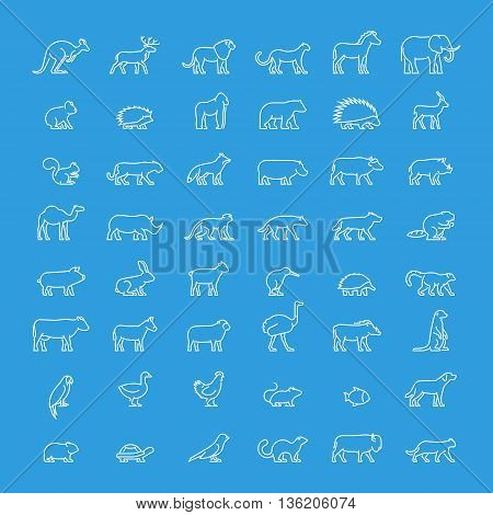Vector line set of animal icons. Linear ferret ostrich meerkat warthog chicken mouse hedgehog and others. Open path.