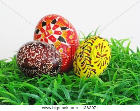 Colorate le uova di Pasqua In erba verde