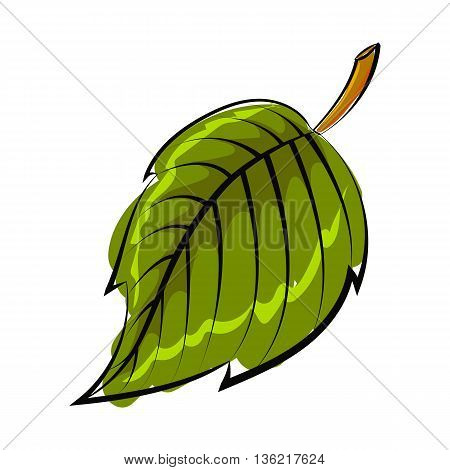 Vector illustration of leaf in line sketch style.