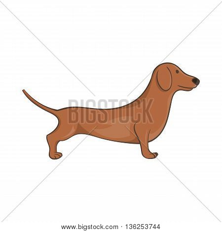 Brown dachshund dog icon in cartoon style on a white background