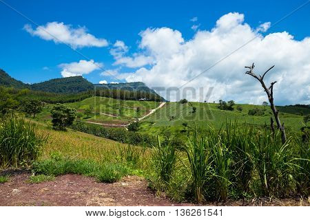 Mountain Scenery With Cloudy Sky