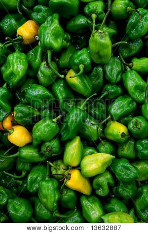 Habanero Chili hotteste peber i verden