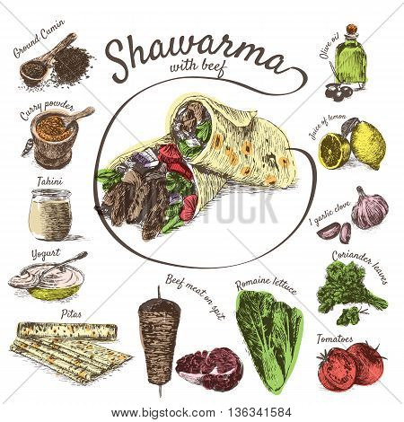 Vector illustration of shawarma ingredients with beef. Hand drawn colorful illustration on white background