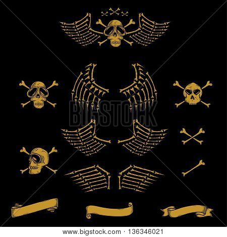 Skull and wings set in black background