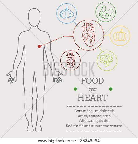 Food for heart. Healthy food with organic food infographic. Food trend health care concept. Medical info. Instructions for each.