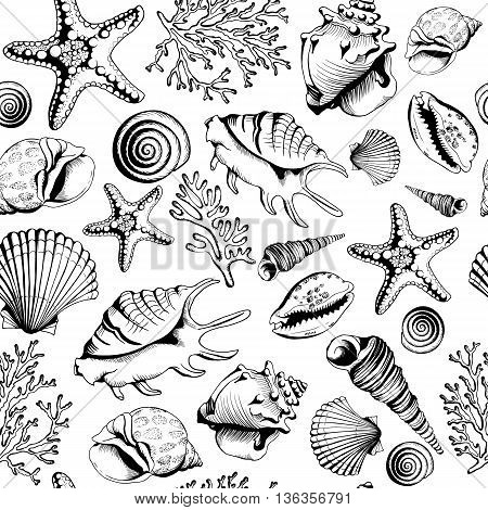 Seamless black-white pattern with seashells corals and starfishes. Hand drawn vector illustration in sketch style. Perfect for greetings, invitations, coloring book, textile, wedding and web design.