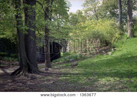  Wiosenne drzewa i podziemne, Olmsted Park