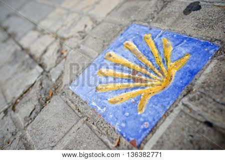 Santiago shell close up in Jaca, Huesca, Aragon, Spain.