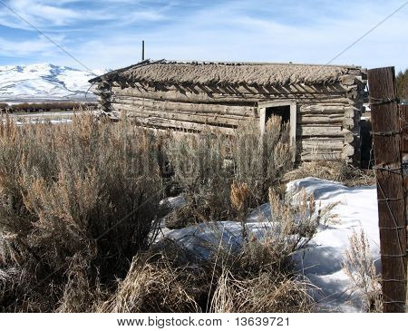 Cabane abandonnée
