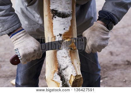 man removes the bark from a tree