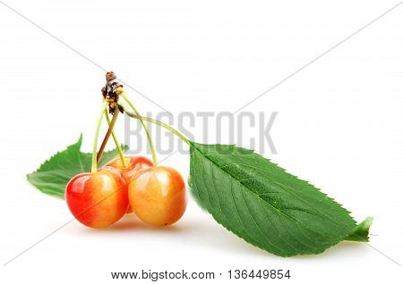 Cherry On A White Background Stock Photos