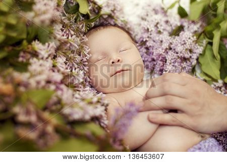 Newborn girl sleeping in the colors of lilac but the hand of the mother caresses her and soothes