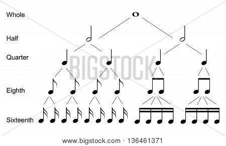 Types of musical notes, black on white background