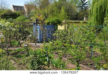 Verneuil sur Seine France - mai 2 2016 : the allotment garden in spring