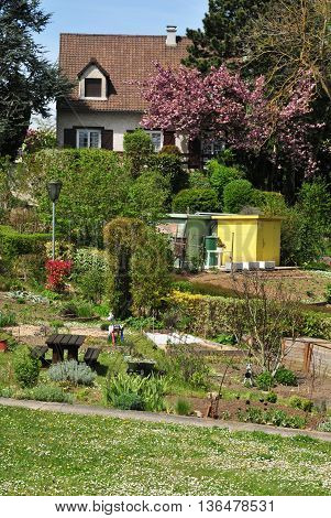 Verneuil sur Seine France - mai 2 2016 : the allotment garden in spring