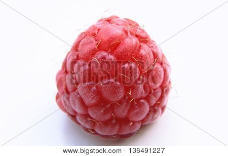 Closeup Of One Red Raspberries