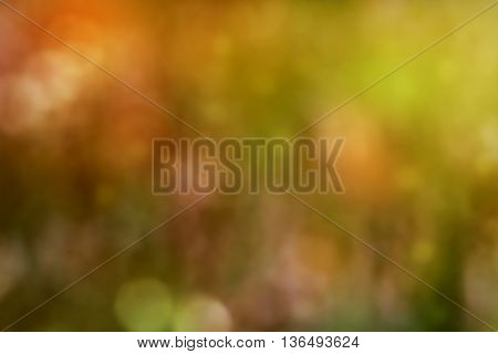 Blurred scene of spring meadow with flowers