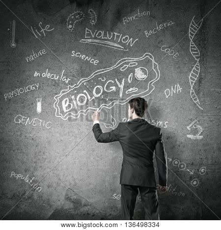 Rear view of man drawing education concept on blackboard with chalk