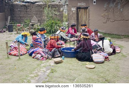 October 22 2012 - Paru Paru Peru: Indigenous women cutting potatoes for a local wedding ceremony Paru Paru the highest-altitude community in La Parque de la Papa Andes Mountains.