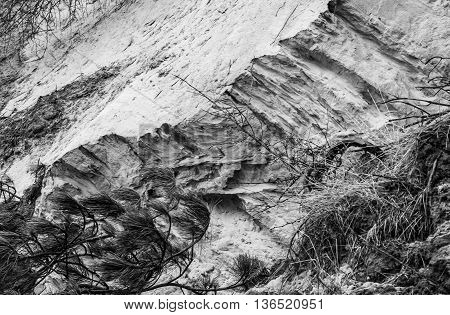 result of wind forces at the coast one