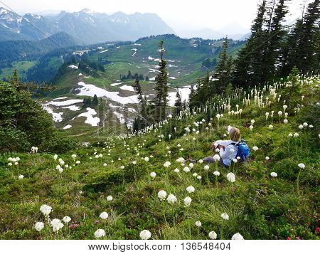 Woman sitting among flowers with mountain view. High Skyline trail on Mount Rainier National Park Seattle Washington USA.