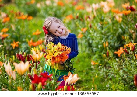 Cute little girl picking lily flowers in blooming summer garden. Child holding lilies bouquet in beautiful flower field. Kid gardening. Lilly plants in flower bed. Preschooler smells picked blossoms.